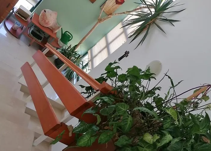 Katarina Appartement Makarska